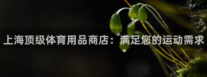 欧陆娱乐总代：上海顶级体育用品商店：满足您的运动需求