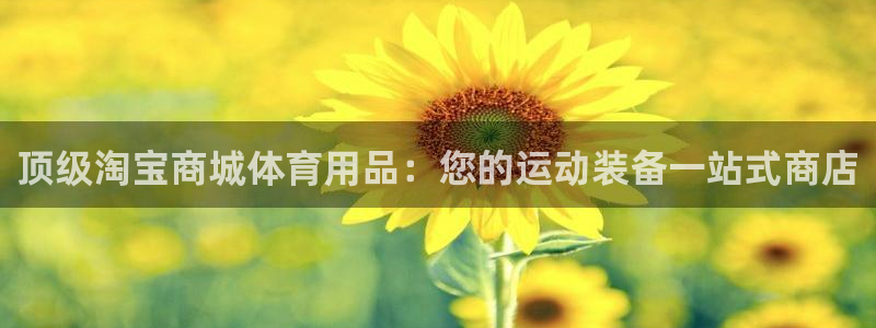 欧陆平台：顶级淘宝商城体育用品：您的运动装备一站式商