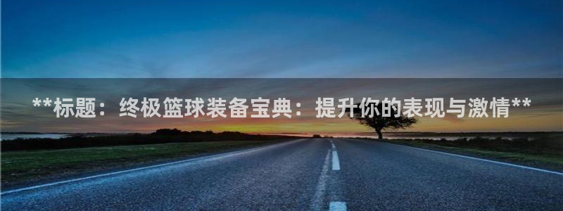 欧陆娱乐平台官网入口：**标题：终极篮球装备宝典：提