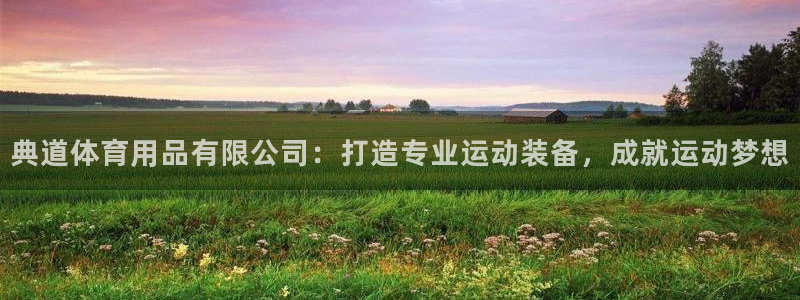 欧陆娱乐挂机怎么玩的：典道体育用品有限公司：打造专业