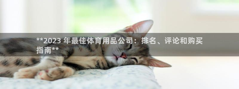 欧陆娱乐平台登陆地址在哪改：**2023 年最佳体育