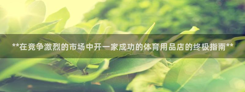 欧陆娱乐访问：**在竞争激烈的市场中开一家成功的体育