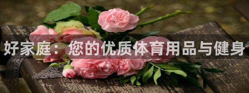 欧陆娱乐：好家庭：您的优质体育用品与健身