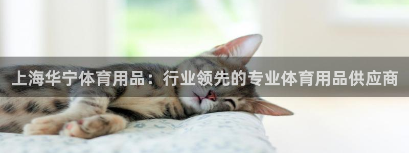 重庆欧陆娱乐有限公司怎么样：上海华宁体育用品：行业领