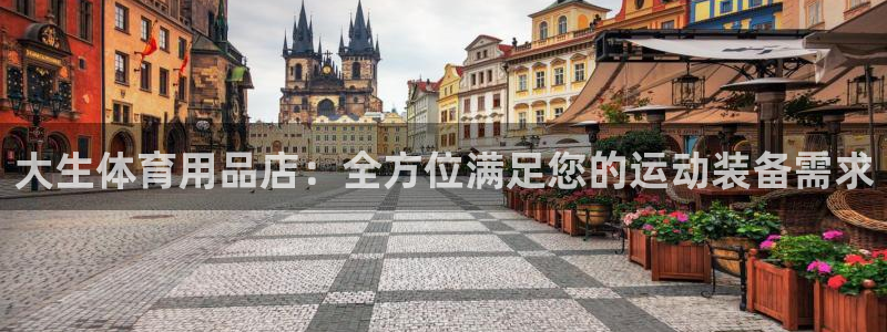 欧陆娱乐平台登陆地址在哪看：大生体育用品店：全方位满
