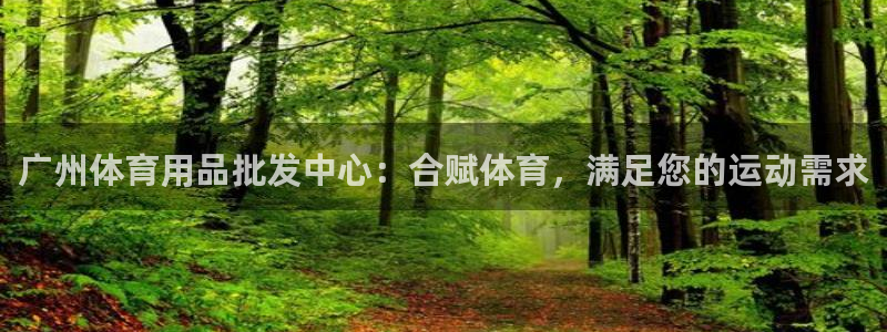 欧陆娱乐图片：广州体育用品批发中心：合赋体育，满足您