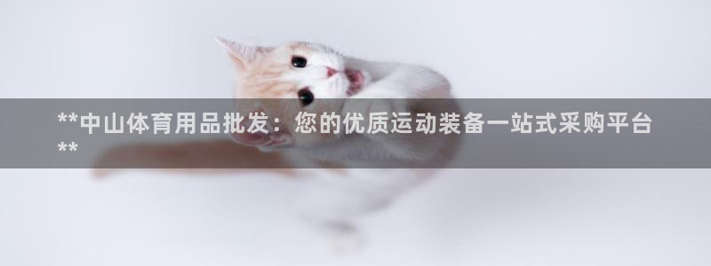 欧陆娱乐测试网站：**中山体育用品批发：您的优质运动