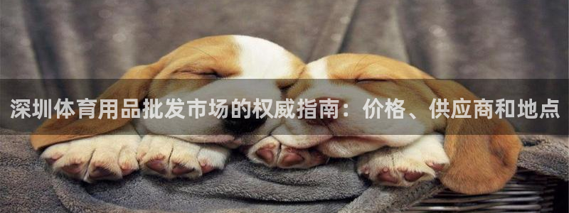 欧陆娱乐客服服务：深圳体育用品批发市场的权威指南：价