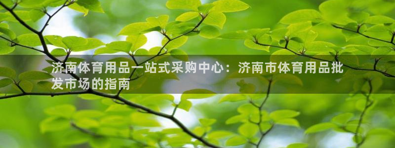 欧陆娱乐登录注册平台：济南体育用品一站式采购中心：济