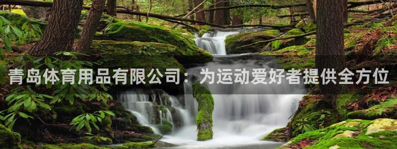 欧陆娱乐平台咋样啊知乎：青岛体育用品有限公司：为运动
