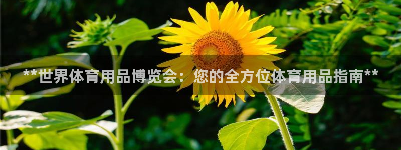 欧陆娱乐官方网站入口：**世界体育用品博览会：您的全