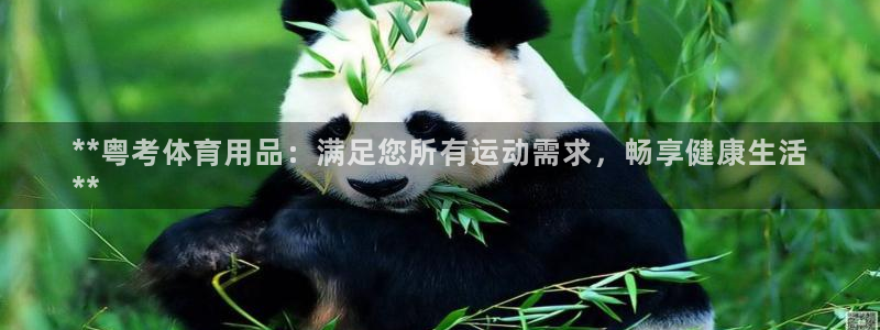 欧陆娱乐登录注册平台官网：**粤考体育用品：满足您所
