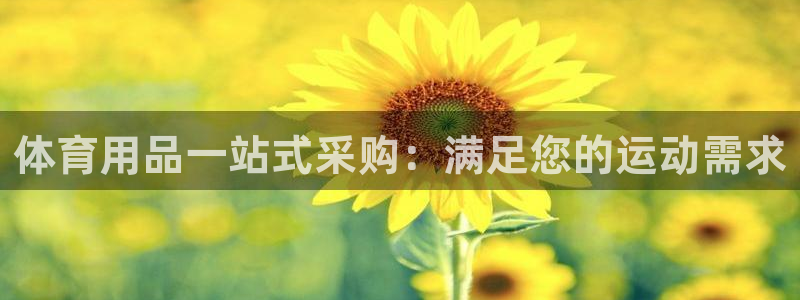 欧陆娱乐官网首页网址：体育用品一站式采购：满足您的运