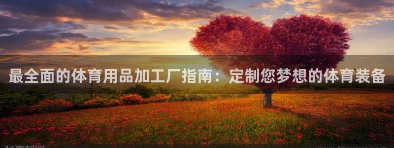 欧陆娱乐共创美好：最全面的体育用品加工厂指南：定制您