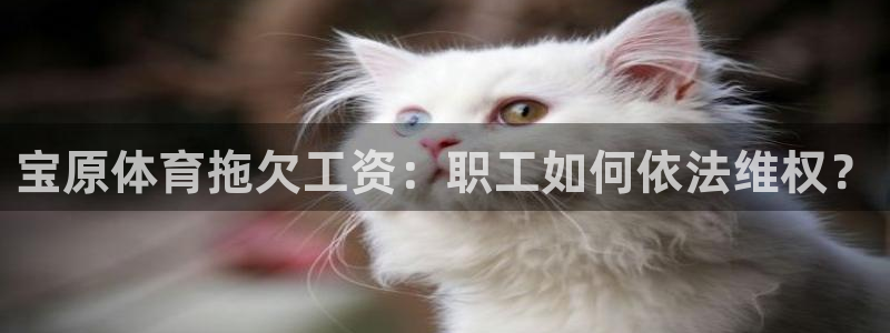 欧陆娱乐的故事有哪些：宝原体育拖欠工资：职工如何依法
