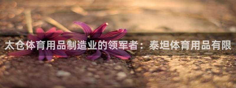 欧陆娱乐线路测速：太仓体育用品制造业的领军者：泰坦体