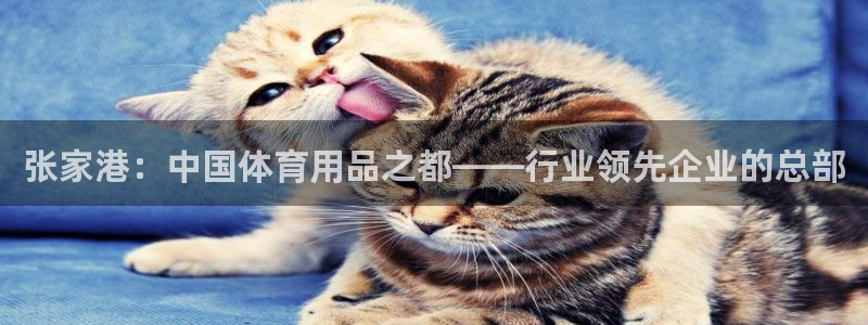 欧陆娱乐计划app官方正版安装下载苹果：张家港：中国