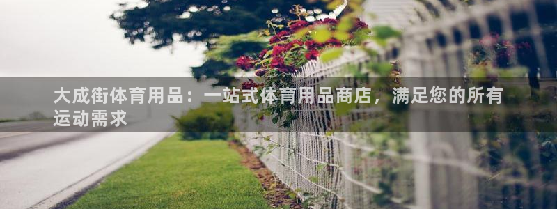 欧陆娱乐总代理电话：大成街体育用品：一站式体育用品商
