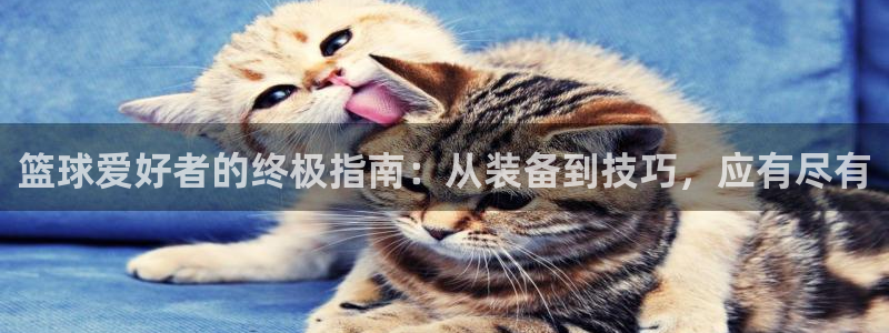 欧陆娱乐微信众：篮球爱好者的终极指南：从装备到技巧，
