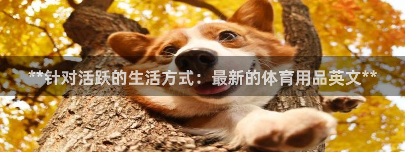 欧陆娱乐登录测速软件：**针对活跃的生活方式：最新的
