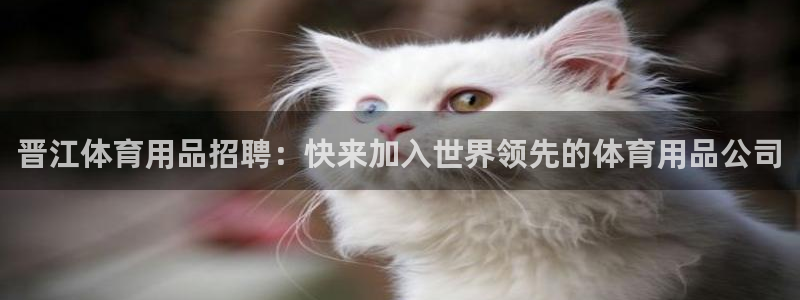 欧陆娱乐平台咋样啊赚钱：晋江体育用品招聘：快来加入世