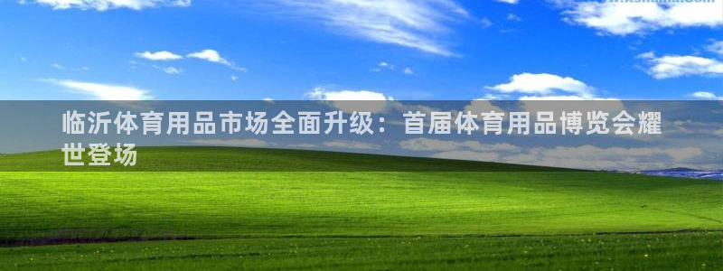欧陆娱乐百科大全：临沂体育用品市场全面升级：首届体育