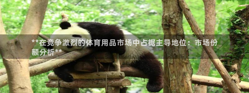 欧陆娱乐怎么注册会员账号：**在竞争激烈的体育用品市