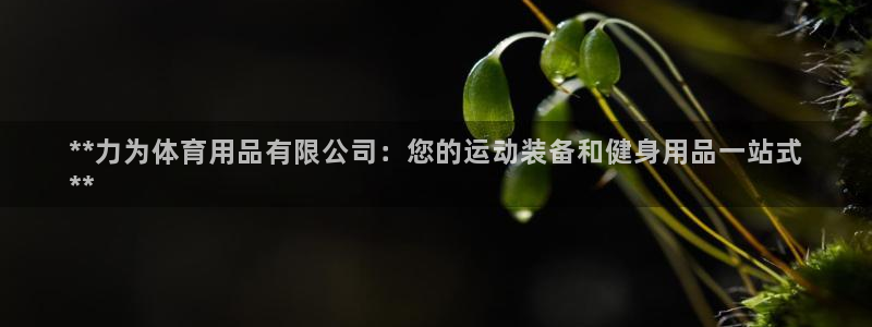 欧陆娱乐登录注册平台官网：**力为体育用品有限公司：