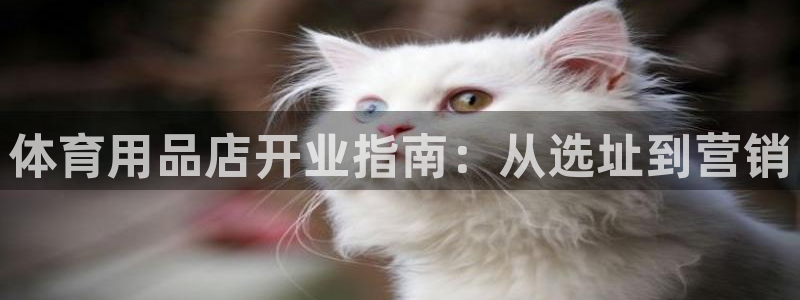 欧陆娱乐累计盈利多少就会被劝退呢：体育用品店开业指南