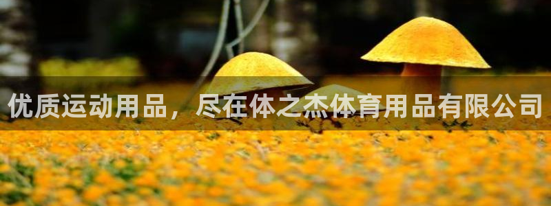 欧陆娱乐登录官网入口：优质运动用品，尽在体之杰体育用