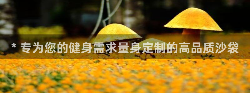 欧陆娱乐挂机怎么玩：* 专为您的健身需求量身定制的高