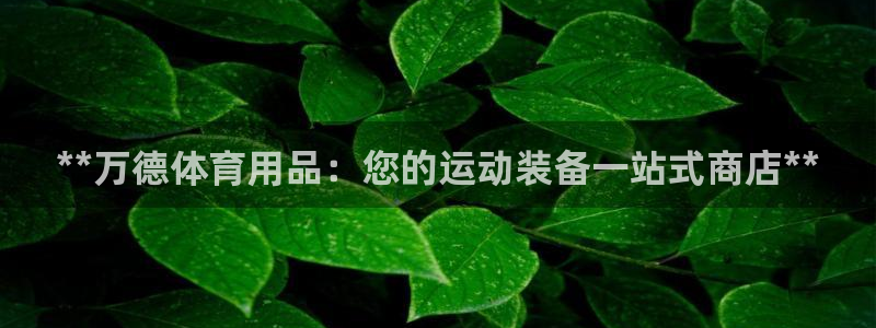 欧陆娱乐怎么注册会员的：**万德体育用品：您的运动装