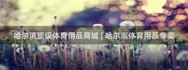 重庆欧陆娱乐有限公司怎么样：哈尔滨顶级体育用品商城 