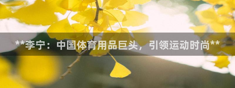 欧陆娱乐合法吗：**李宁：中国体育用品巨头，引领运动