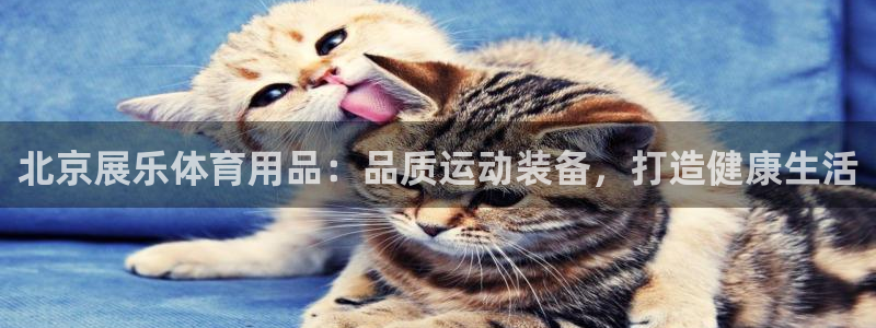 欧陆娱乐的故事有哪些：北京展乐体育用品：品质运动装备