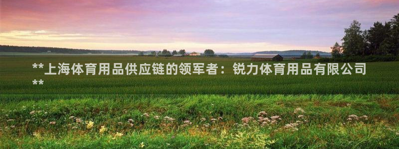 欧陆娱乐登录测速：**上海体育用品供应链的领军者：锐