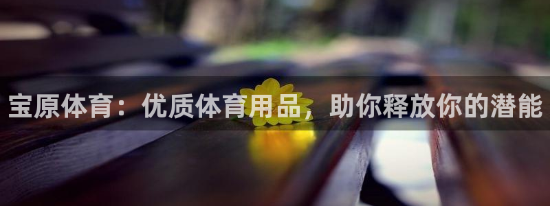 欧陆娱乐登陆官网入口：宝原体育：优质体育用品，助你释