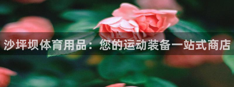 欧陆娱乐怎么注册账号啊：沙坪坝体育用品：您的运动装备