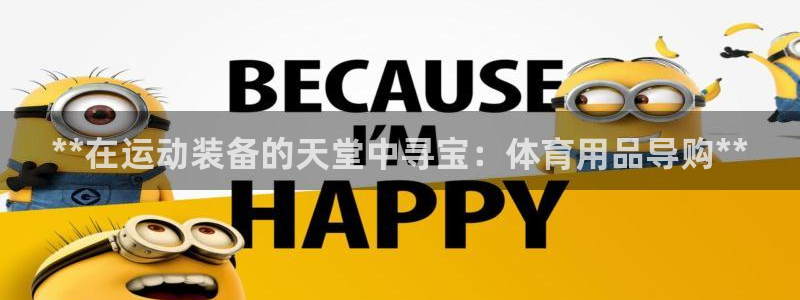 欧陆注册码：**在运动装备的天堂中寻宝：体育用品导购