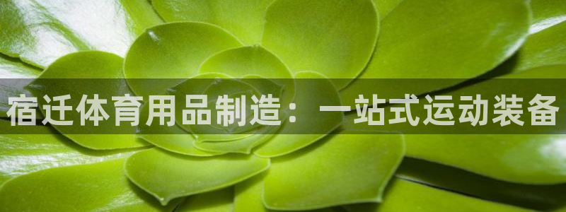 欧陆娱乐注册代理多少钱一年：宿迁体育用品制造：一站式