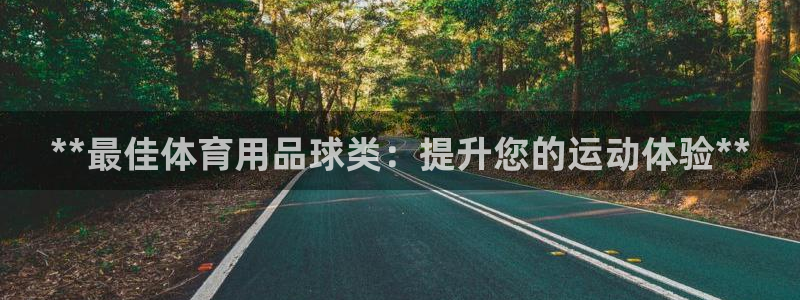 欧陆娱乐公司产品介绍：**最佳体育用品球类：提升您的