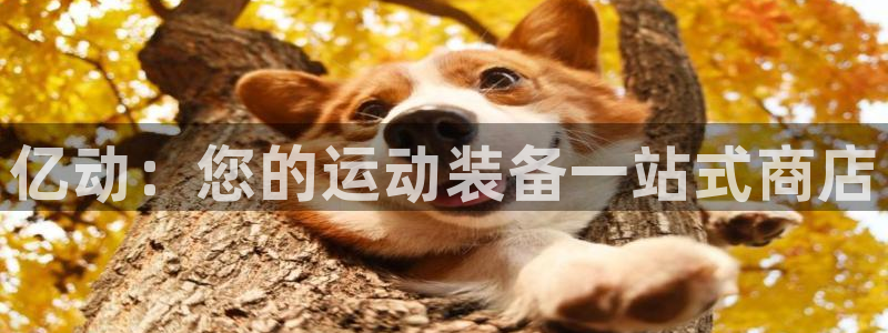 欧陆娱乐计划预测软件：亿动：您的运动装备一站式商店