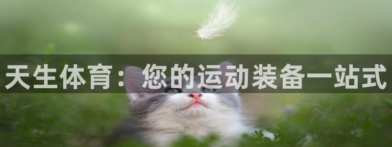 欧陆娱乐天富主管：天生体育：您的运动装备一站式