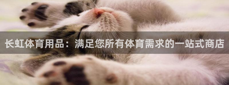 欧陆娱乐是正规平台吗安全吗知乎文章：长虹体育用品：满