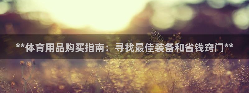 欧陆娱乐官方：**体育用品购买指南：寻找最佳装备和省