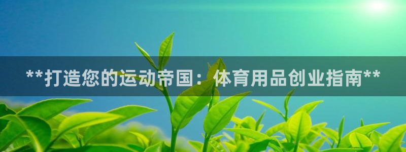 欧陆娱乐登陆平台下载：**打造您的运动帝国：体育用品