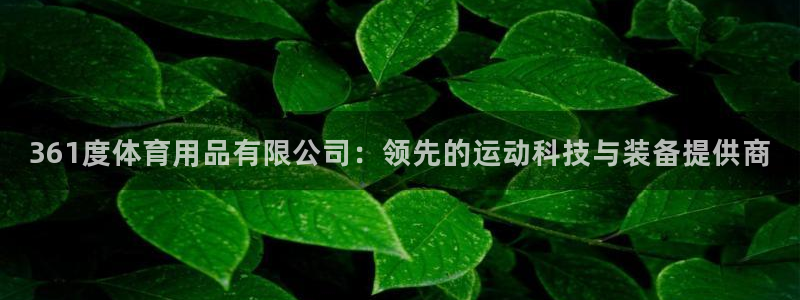 欧陆娱乐官网注册中心在哪：361度体育用品有限公司：