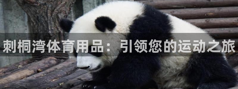 欧陆娱乐登陆平台官网：刺桐湾体育用品：引领您的运动之