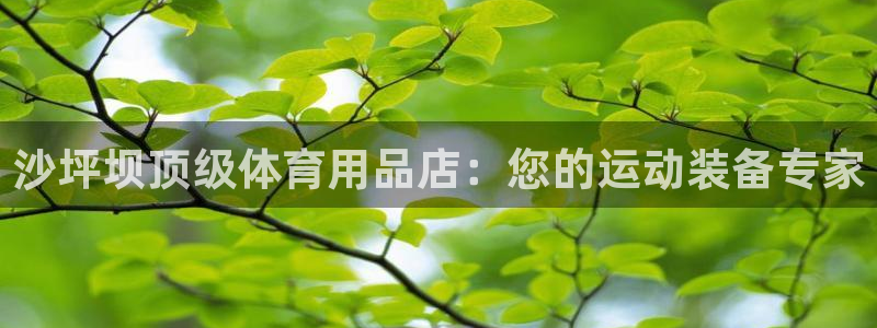 欧陆商城：沙坪坝顶级体育用品店：您的运动装备专家
