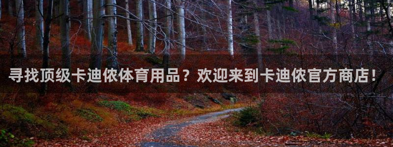 欧陆娱乐公司产品介绍大全：寻找顶级卡迪侬体育用品？欢